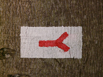 signpost, migratory character, waymarks, signposts, directory HD wallpaper