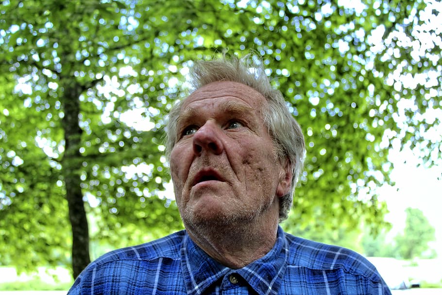 man wearing blue collared shirt looking up while standing under tree outdoors