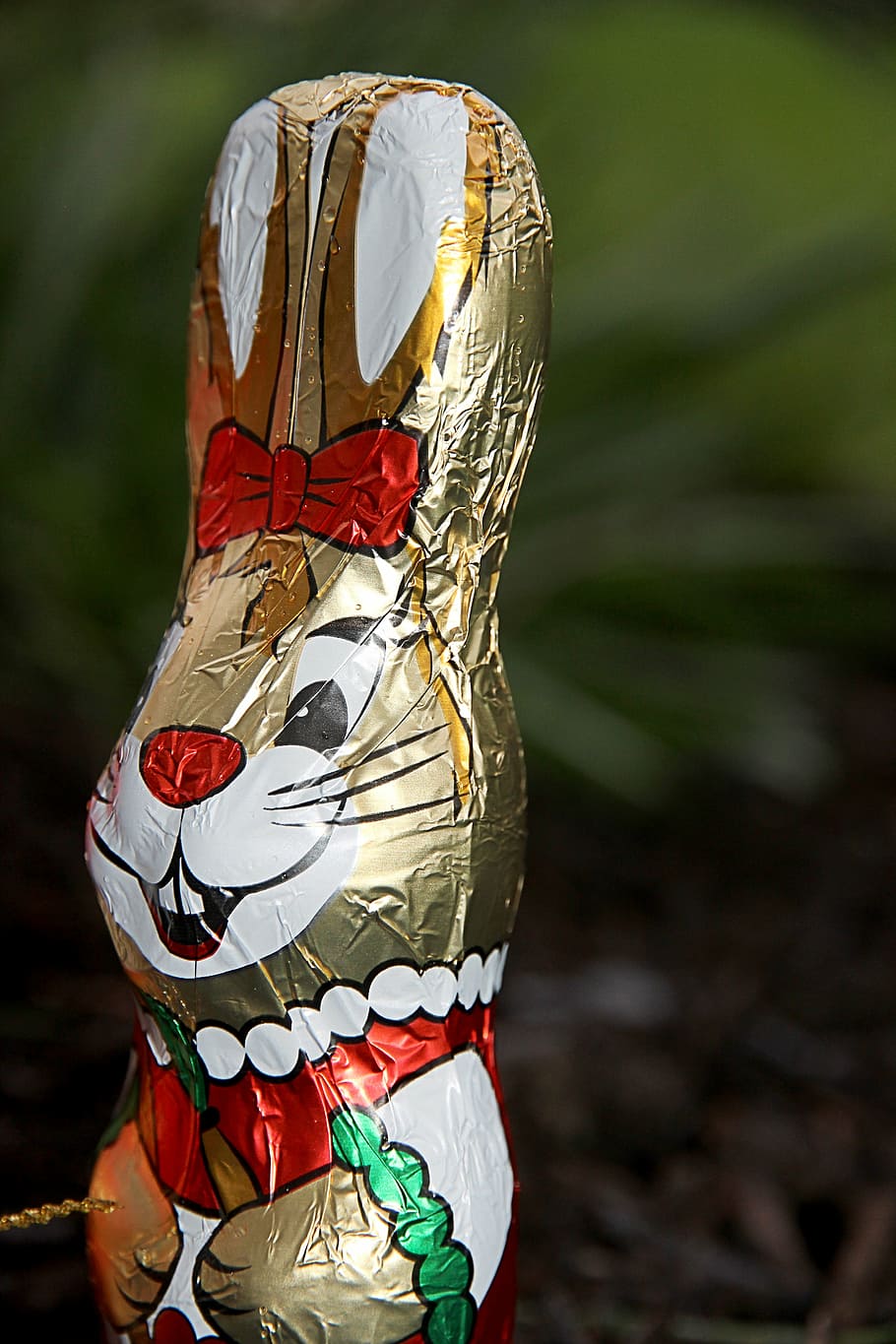 chocolate, sweetness, cocoa, easter bunny, tracy, hare, staniol HD wallpaper