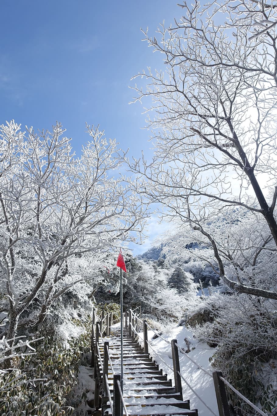 Winter, Snow Mountain, Jeju Island, republic of korea, landscape, HD wallpaper