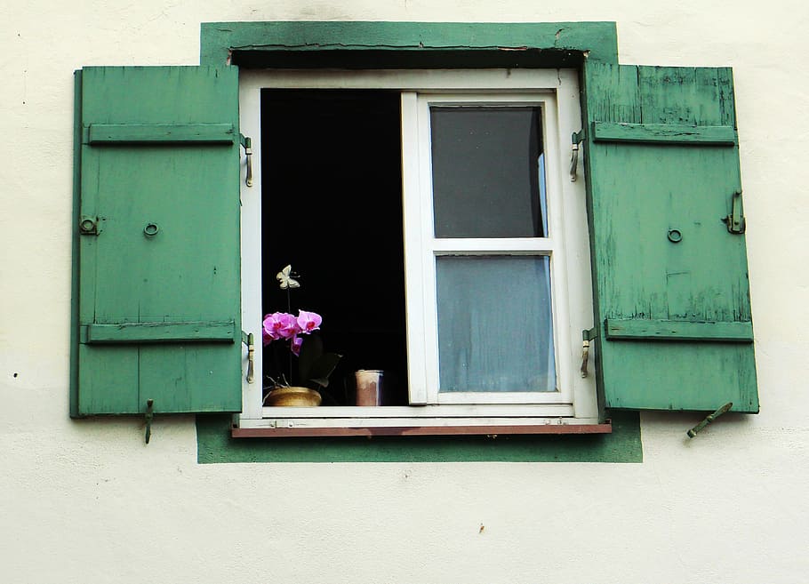 Window, Shutter, Wood, Old, Flower, facade, idyll, idyllic HD wallpaper