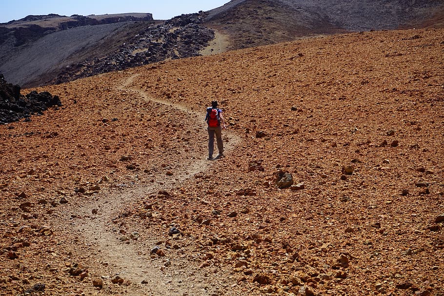man walking on brown field, away, path, wanderin, hiking, trace HD wallpaper