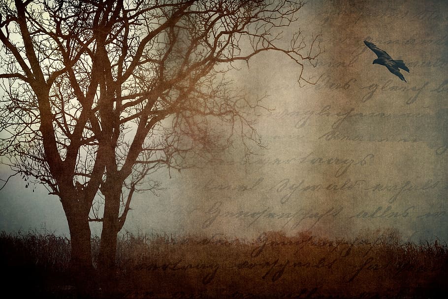 baretree artwork, landscape, nature, bird, raven, way, gloomy HD wallpaper