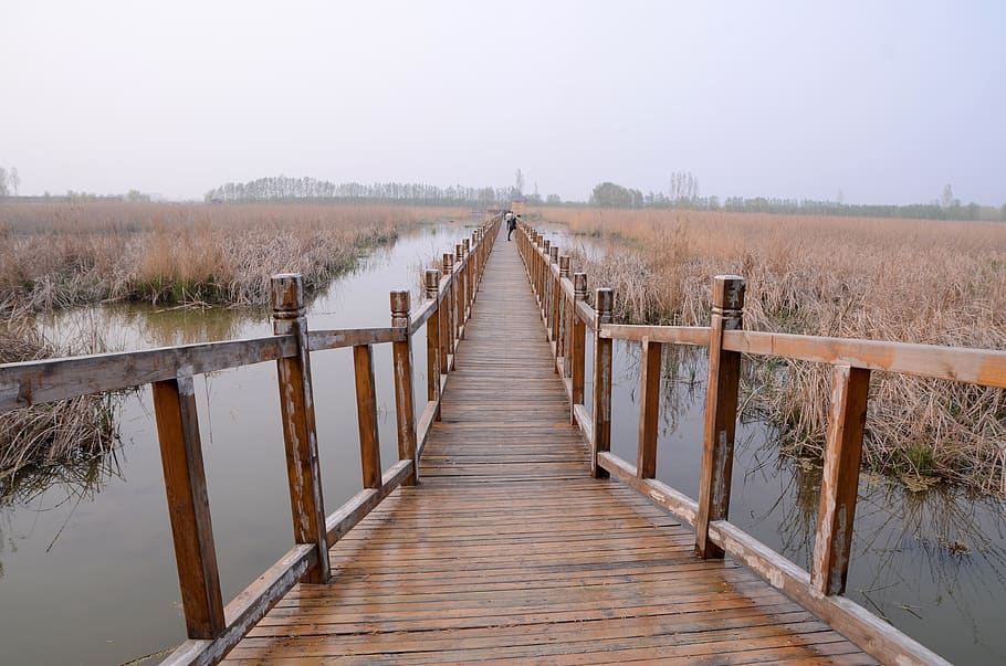 nature, bridge, waters, sky, direction, the way forward, wood - material HD wallpaper