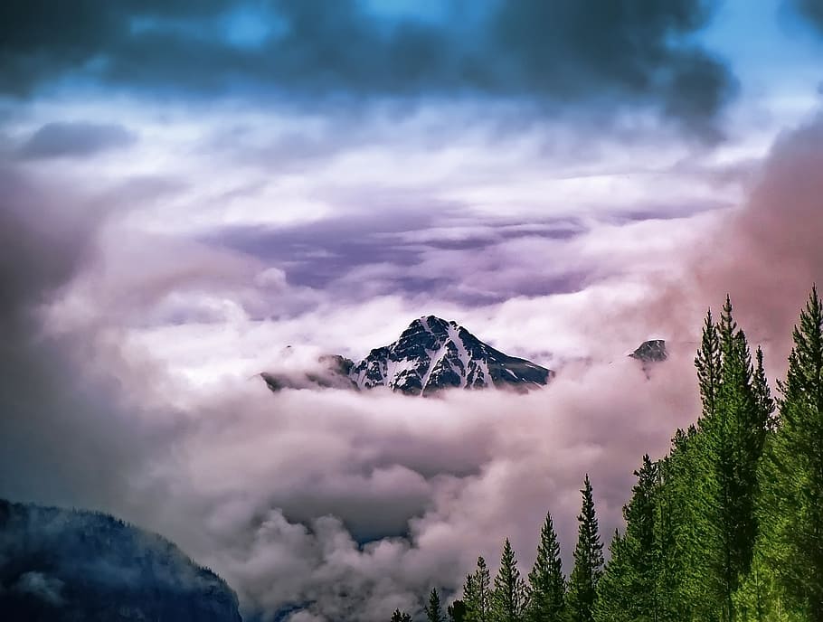 mountain surrounded by white clouds near pine trees, summit HD wallpaper