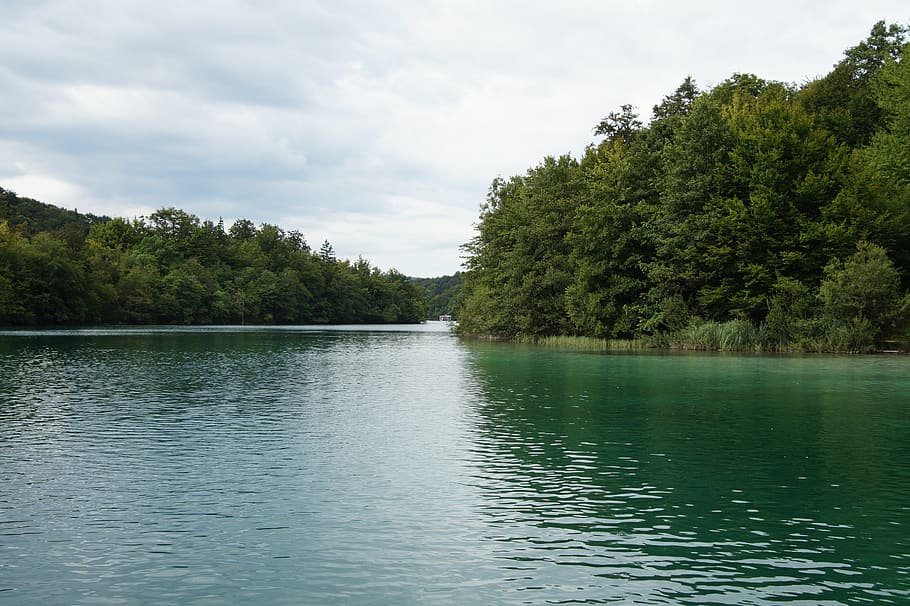 plitvice, croatia, lake, tree, water, plant, beauty in nature HD wallpaper