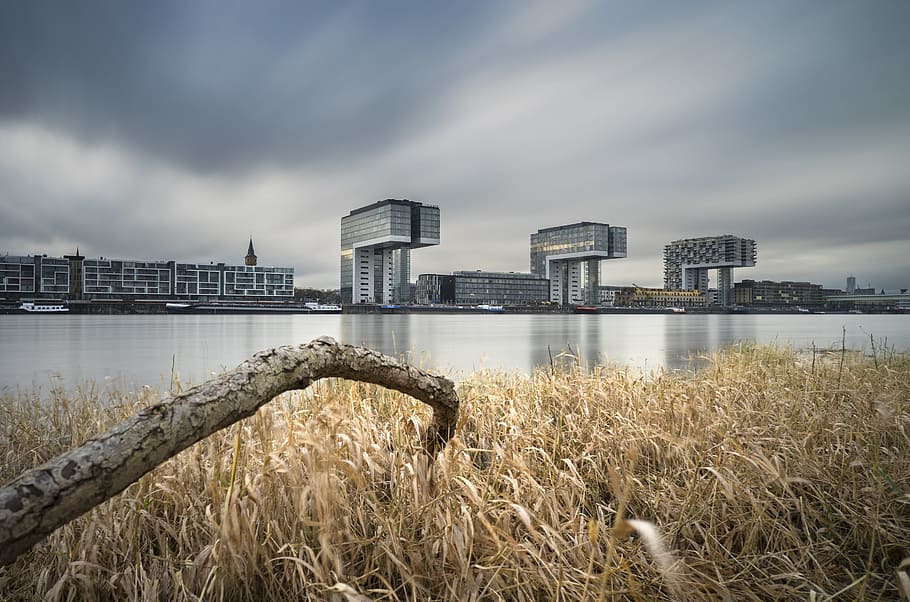 Bare Wood on Brown Grass Near Body of Water, architecture, buildings, HD wallpaper