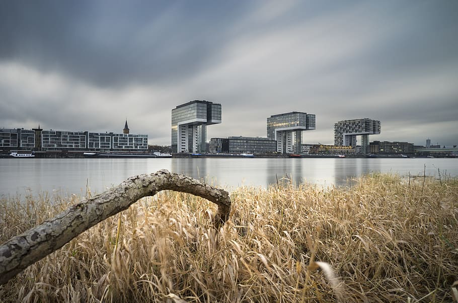 Bare Wood on Brown Grass Near Body of Water, architecture, buildings HD wallpaper