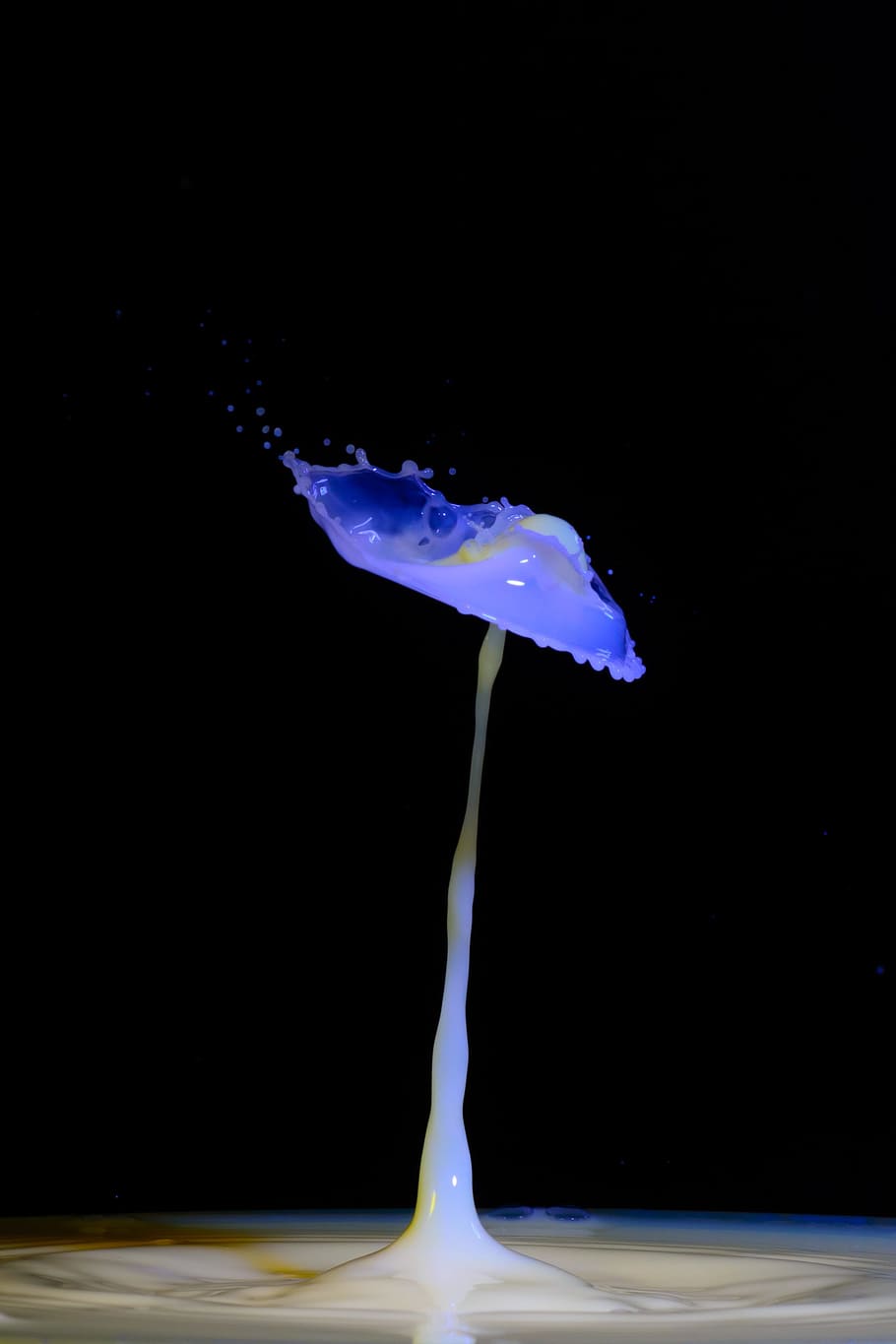 drip, spray, water, liquid, drop of water, water splashes, high speed HD wallpaper