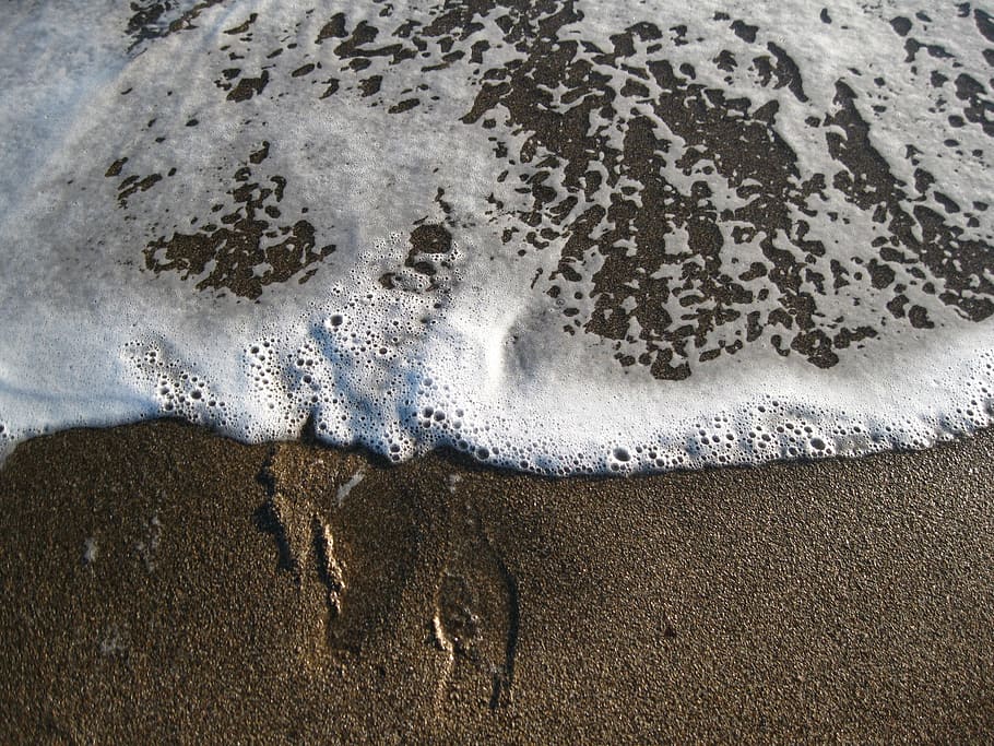 Footprints, Surf, Wave, one animal, animal themes, animals in the wild HD wallpaper