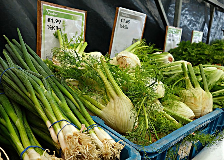 shalott, onion, fennel, vegetable, herbs, fresh vegetables, HD wallpaper