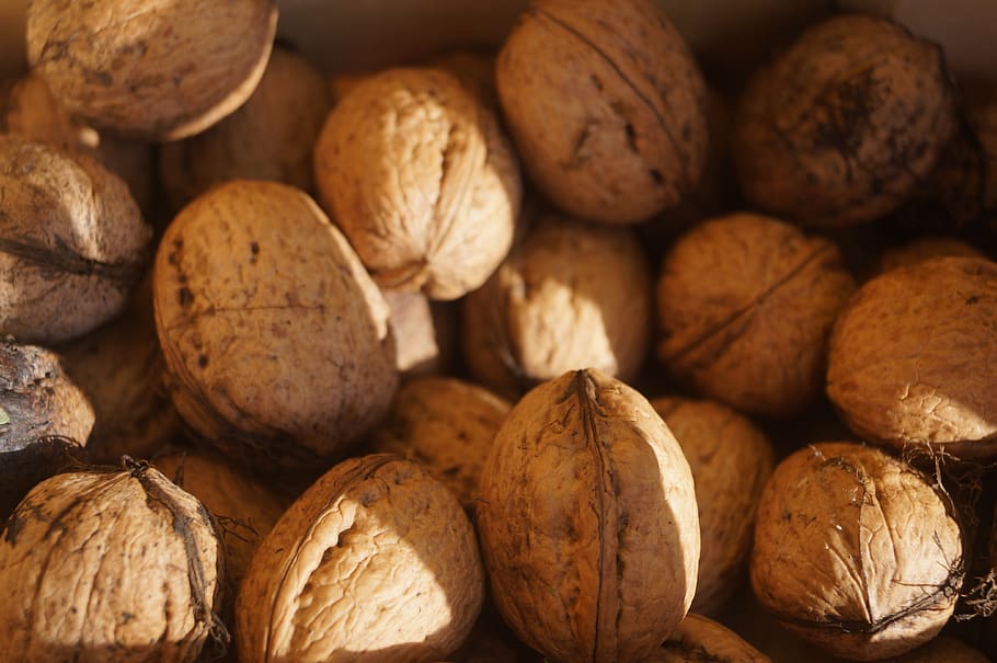 nuts, walnuts, brown, shell, fruit bowl, eat, food, food and drink HD wallpaper