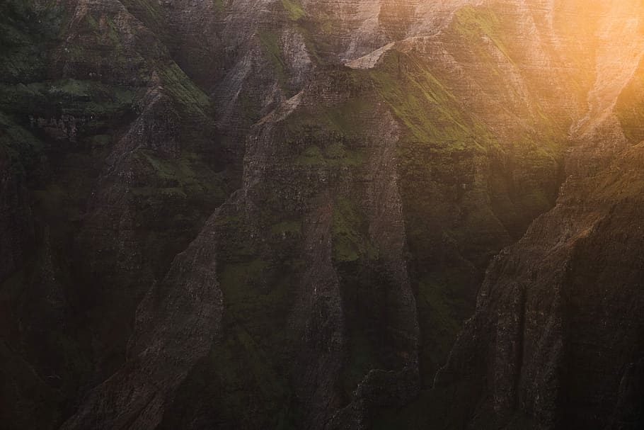 untitled, mountain, mountain side, sunlight, yellow, tree, nature HD wallpaper