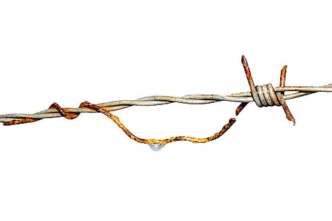 selective focus photography of barb wire, barbed wire, iron HD wallpaper