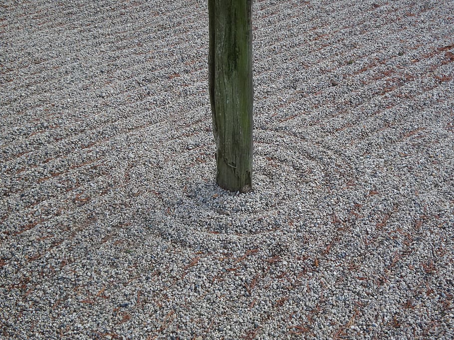 Pole, Gravel, Japanese, Garden, Zen, circles, concentric, tree, HD wallpaper