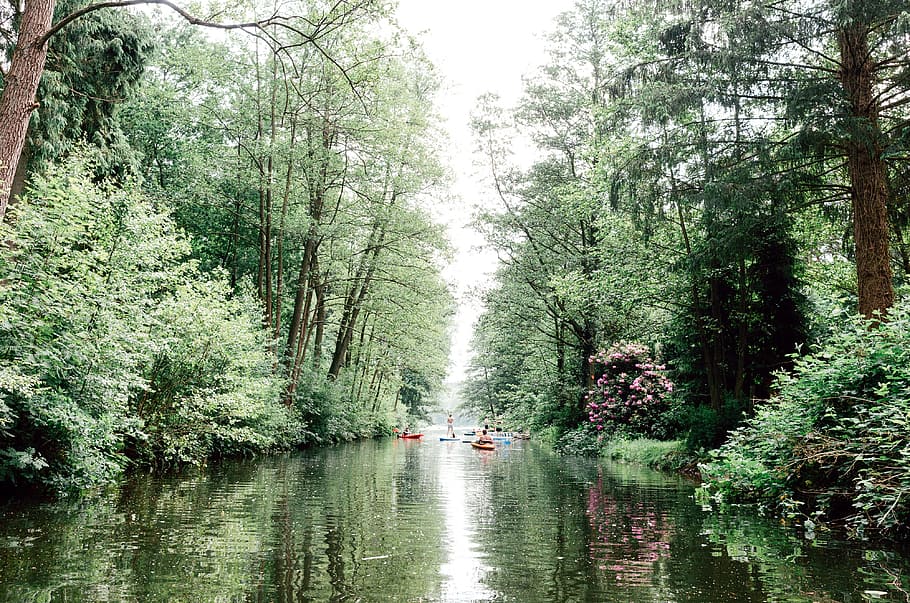 Canoeing down a canal, lifestyle, nature, tree, forest, water HD wallpaper