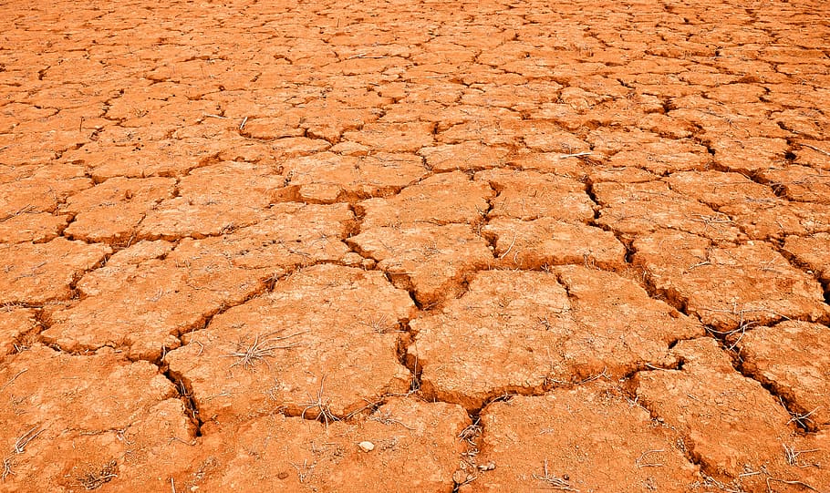 desert, mud, dry, dried, without life, cracked, drought, nature HD wallpaper