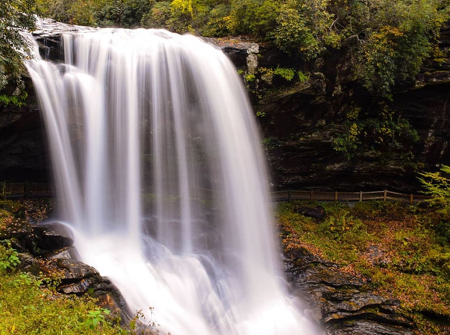 waterfalls surrounded by green trees, nature, river, outdoor HD wallpaper