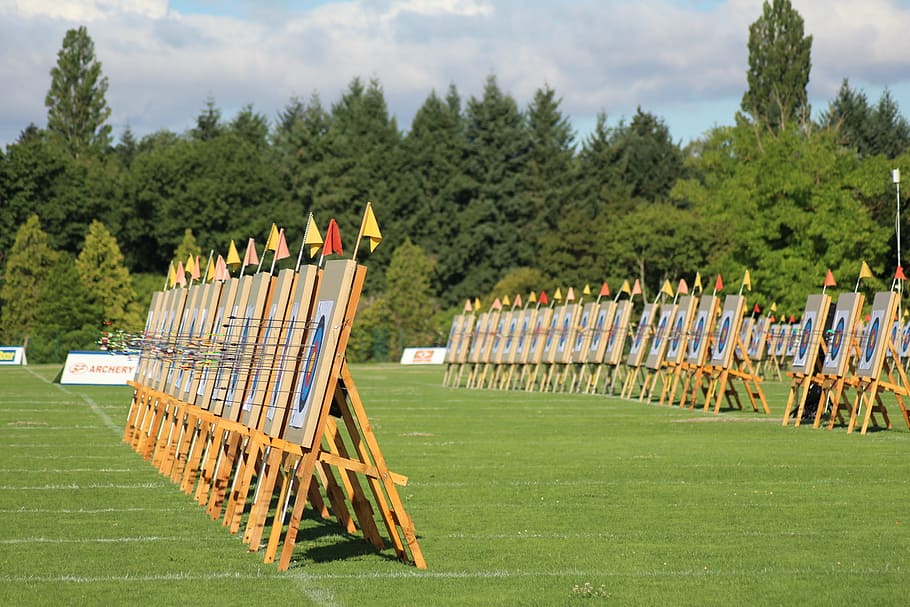 shooting, arc, target, field, arrow, plant, tree, green color HD wallpaper