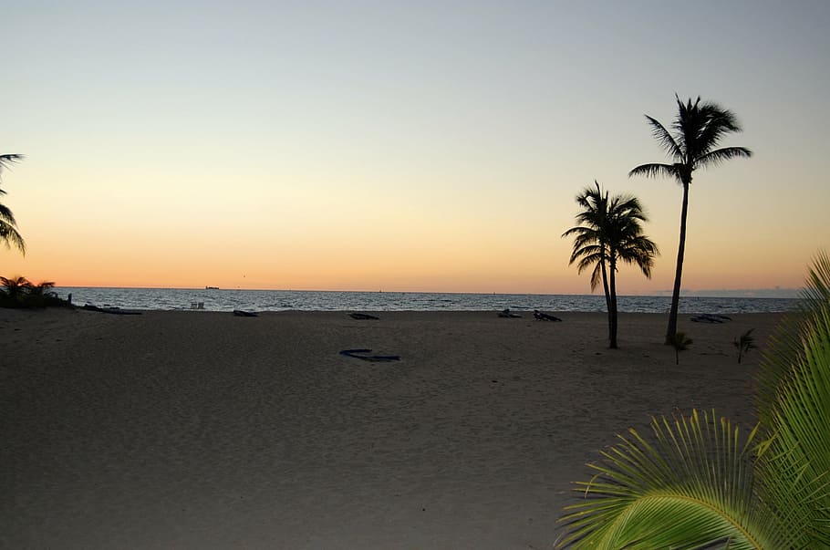 sunset, beach, palm, sky, palm tree, tropical climate, land HD wallpaper