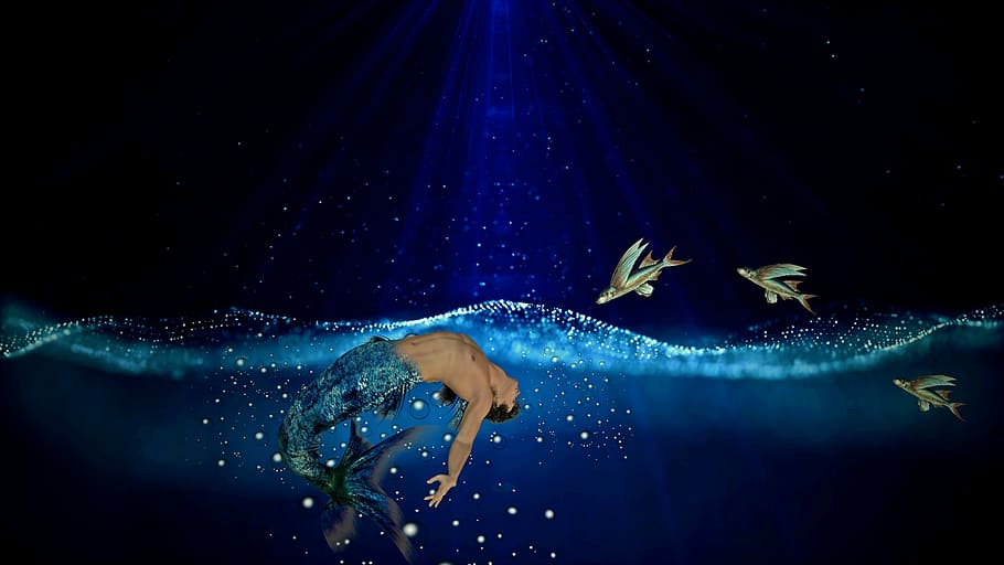 mermaid in body of water near flying fish painting, Sea, Water, HD wallpaper