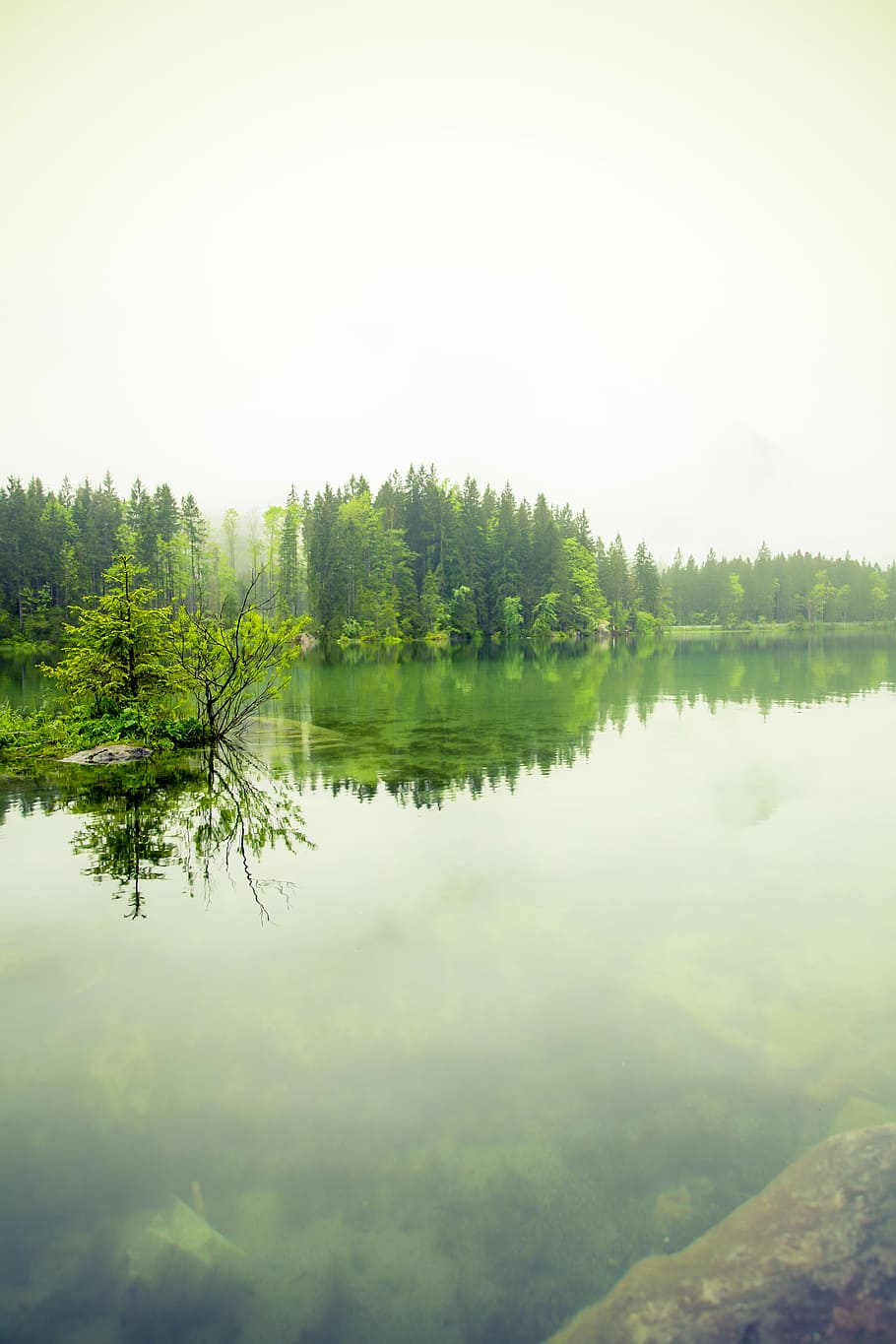 fog, forest, lake, landscape, mist, nature, outdoors, placid HD wallpaper