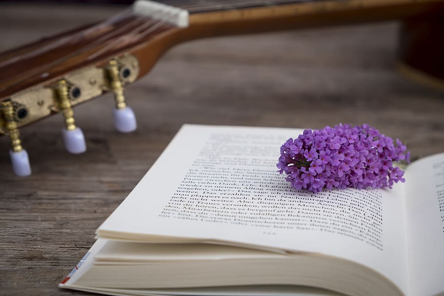 book, education, pages, read, literature, learn, training, pedagogy HD wallpaper