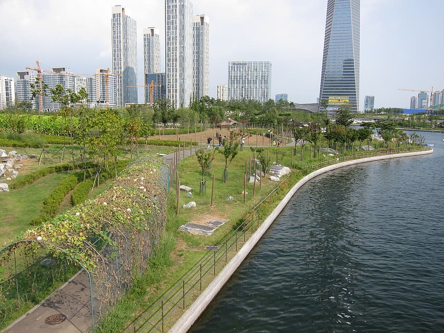 incheon, songdo, street, building, water, nature, architecture