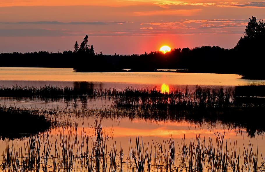 sunset, landscape, twilight, nature, lake, summer, colors, trees HD wallpaper