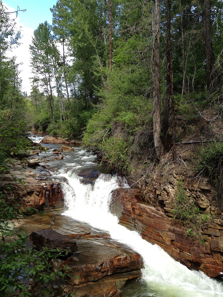 waterfall, river, nature, forest, tree, plant, land, flowing water HD wallpaper