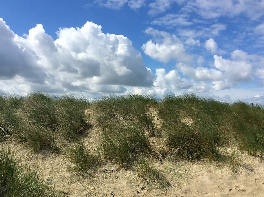 Beach, Dune, Grass, Sand, Clouds, dunes, dune grass, sky, north sea HD wallpaper