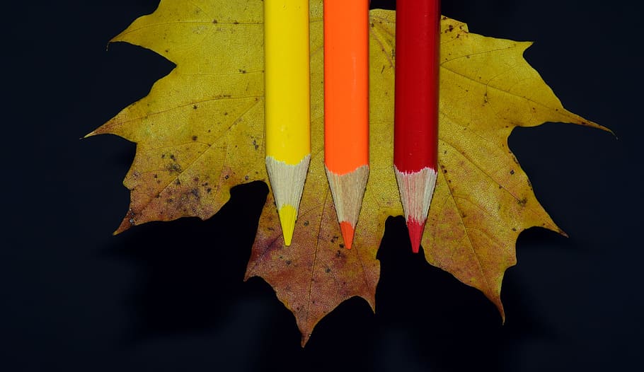 leaf, maple leaf, pens, colored pencils, colorful, orange, yellow, HD wallpaper