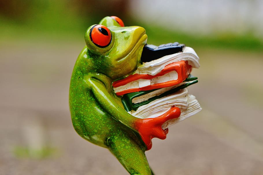 green frog carrying book figurine, figure, files, stack, files stacked HD wallpaper