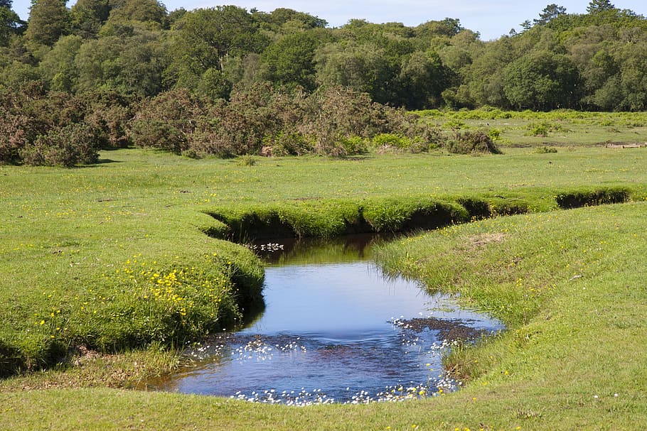 river flowing between grass-covered fields at daytime photo, countryside, HD wallpaper