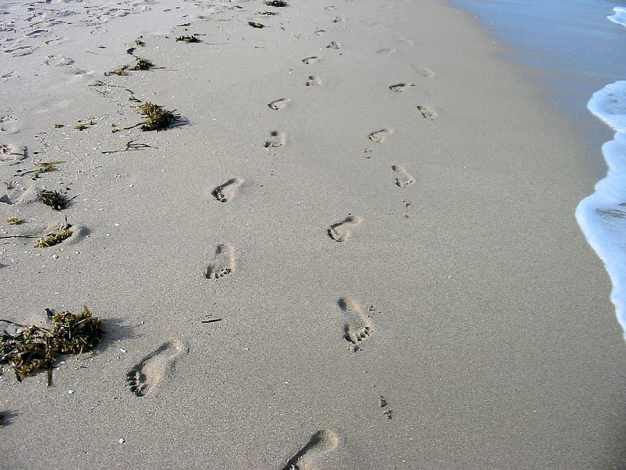 footprints, beach, sand, foot prints, ocean, atlantic, florida HD wallpaper