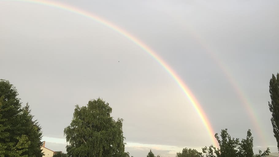 rainbow, clouds, landscape, weather, summer, storm, tree, plant HD wallpaper