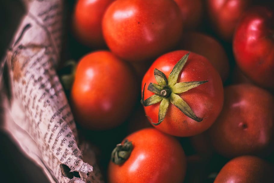 tomato, crops, vegetable, red, fresh, ingredient, healthy eating HD wallpaper