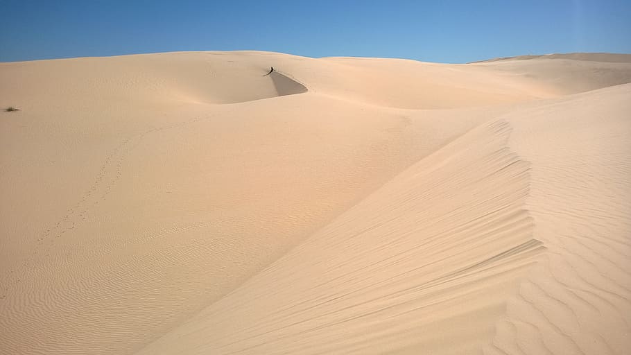 Sun, Dune, Sand, Trail, Footprint, sky, horizon, feature, contemplate HD wallpaper