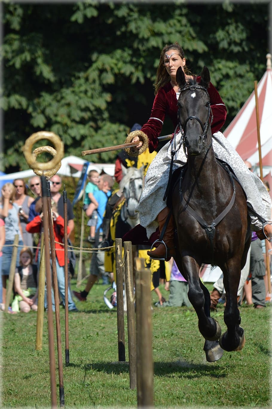 lances, medieval, skill, amsterdam, holland, knight show, knights HD wallpaper