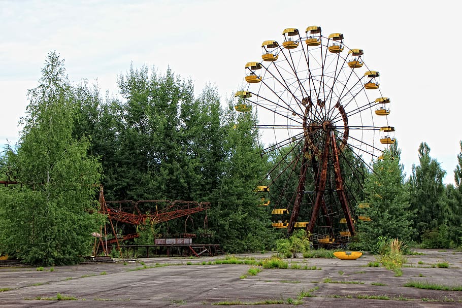brown amusement park ride near trees, yellow, ferris wheel, theme park