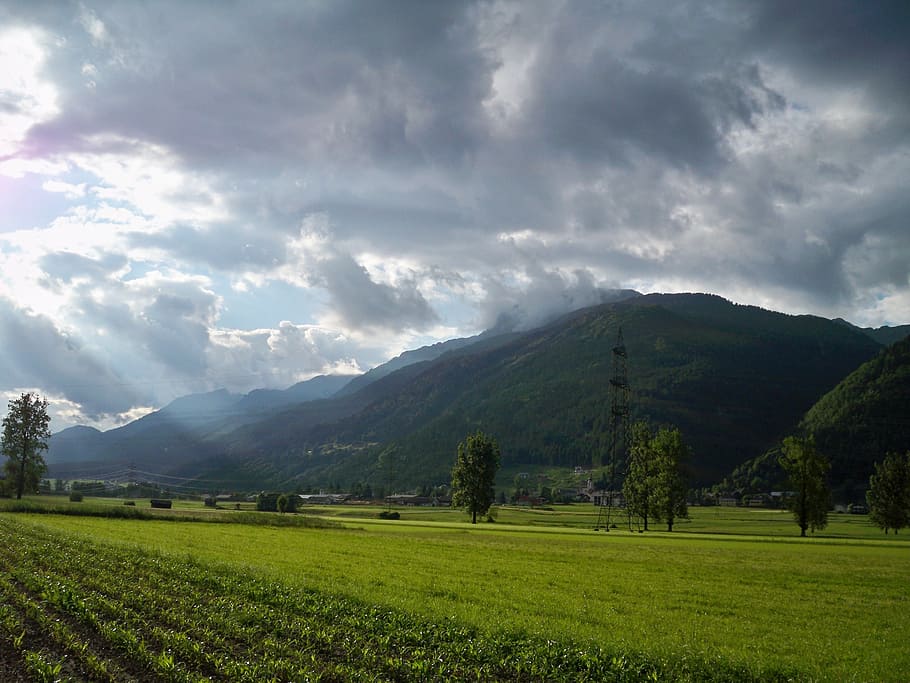 scenic, summer, austria, clouds, field, mountain, landscape HD wallpaper