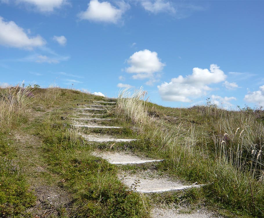 white concrete pathway stairway between green grasses during daytime HD wallpaper