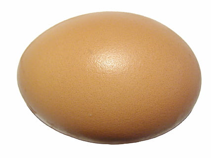 brown egg, eggshell, protein, ovoid, food, ingredient, isolated HD wallpaper