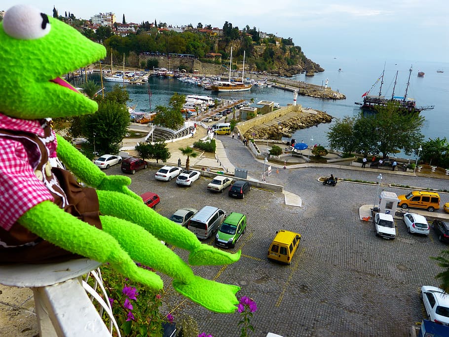 Kermit, Frog, View, Antalya, Port, green, autos, road, sea HD wallpaper