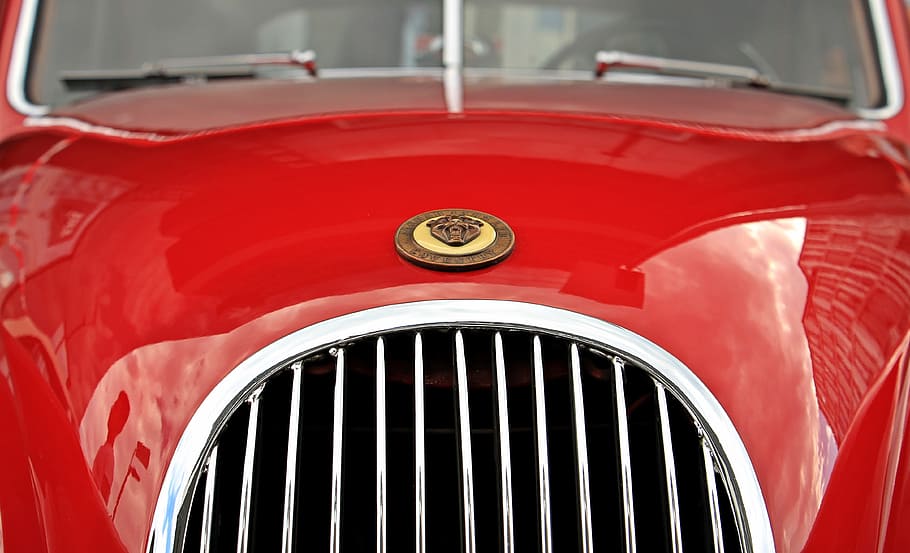close-up photography of classic red vehicle, jaguar, oldtimer HD wallpaper