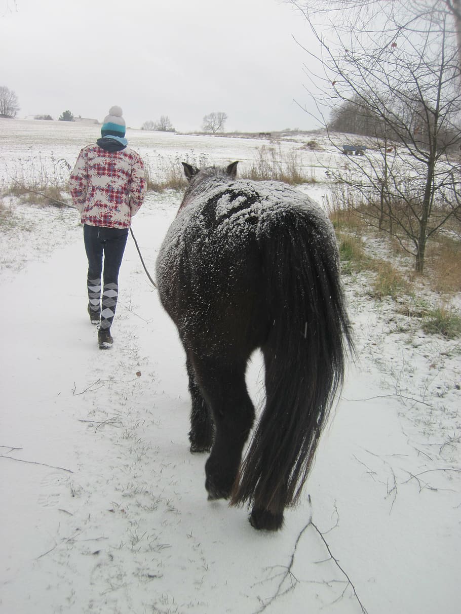 pony, snow, child, winter, snowed in, heart, rap, black, white HD wallpaper