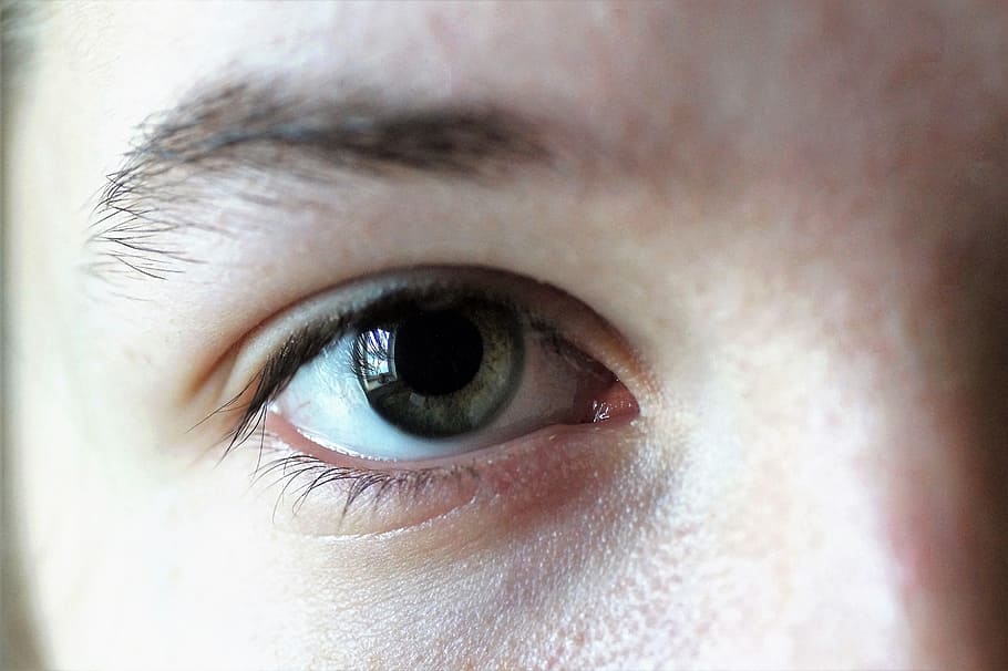 Eye, Iris, Doll, Macro, Eyebrows, Algae, expressive, detailed HD wallpaper