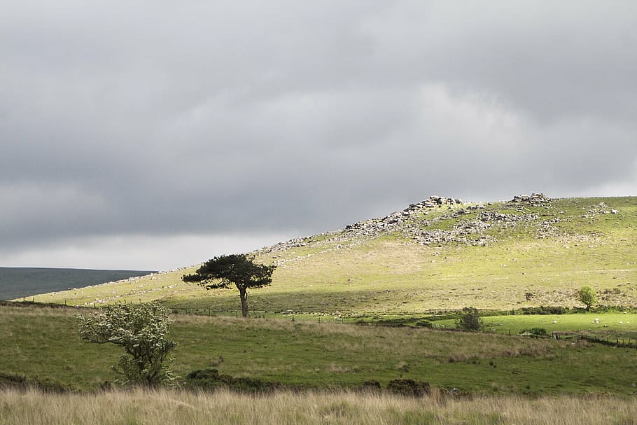 dartmoor, tor, devon, rock, granite, wild, hill, grass, stone, HD wallpaper