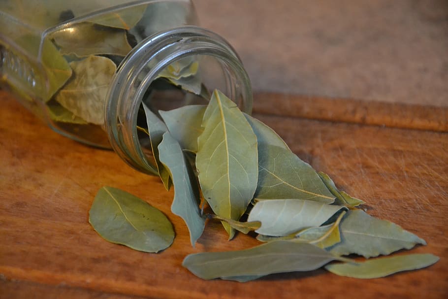 closeup photo of green ovate leaves from clear glass jar, laurel HD wallpaper