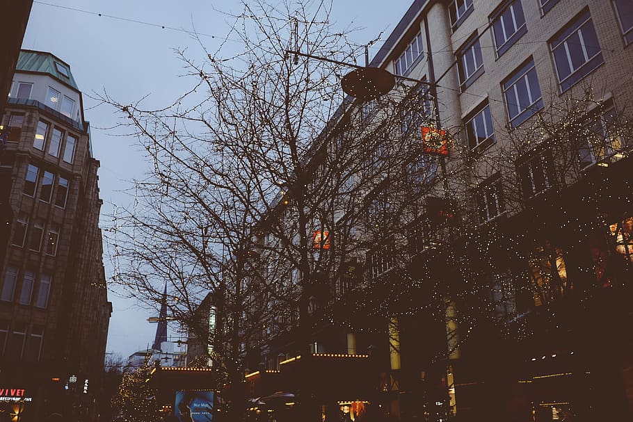 Christmas Illumination on a street, architecture and Cityscape HD wallpaper